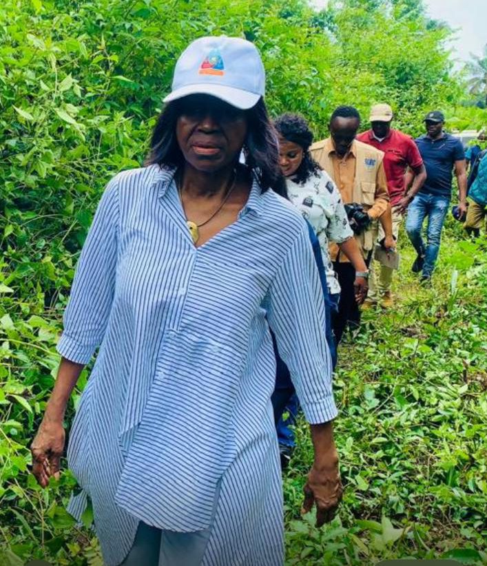 During the Singimi Hydroelectric Waterfall assessment in Moyamba, Minister Kenyeh Barlay expressed government’s willingness to bolster energy access across Sierra Leone